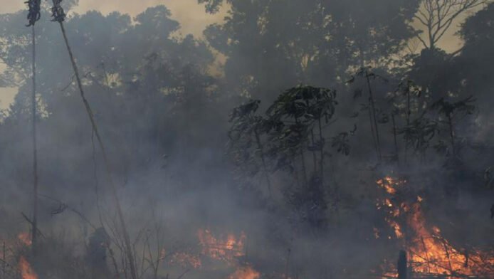 WWF to predict wildfires