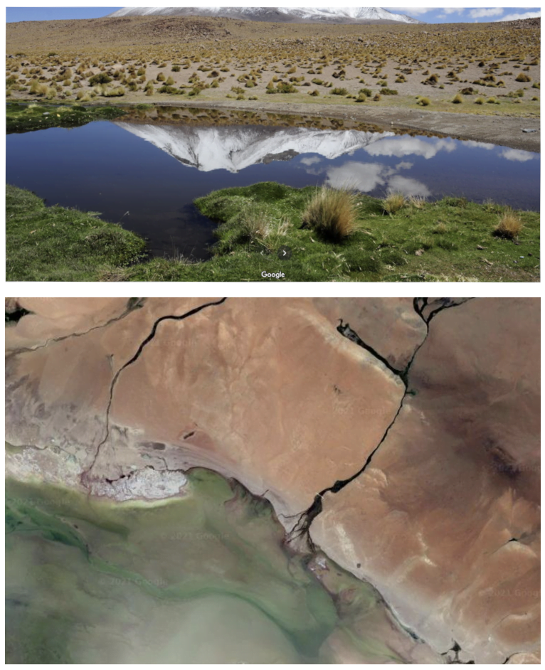 A photography of a typical scenario where it is not determinable from satellite imagery whether a location’s surface consists of grass or barren. Top: © Augusto Moreno Prado, bottom: © Google Earth